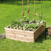 carre potager estragon 120 - burger